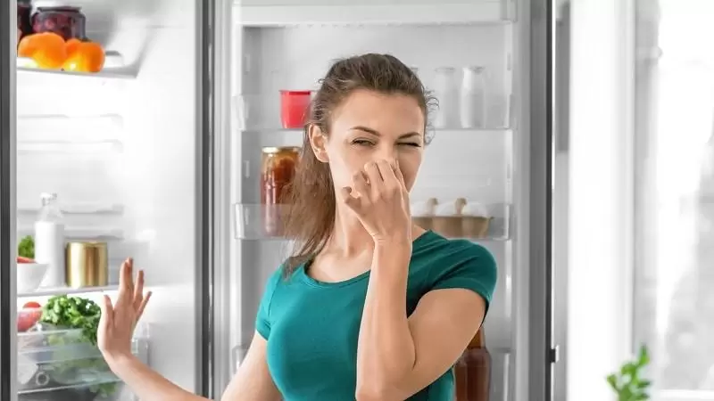علت بوی بد یخچال فریزر چیست